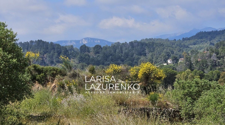 Tarragona - Móra la Nova - 24111m2