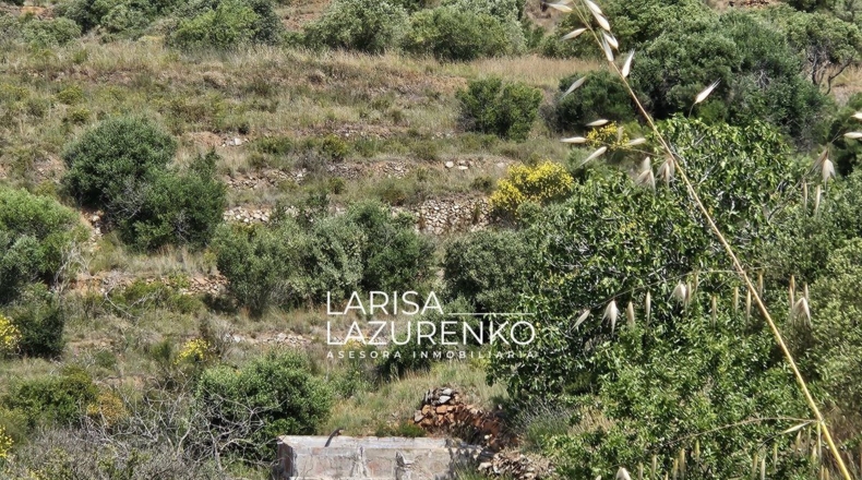 Tarragona - Móra la Nova - 24111m2