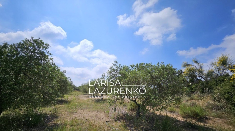 Tarragona - Móra la Nova - 24111m2