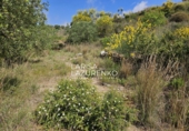 Terreno no urbanizable en venta en Móra la Nova ref: TR409185 foto