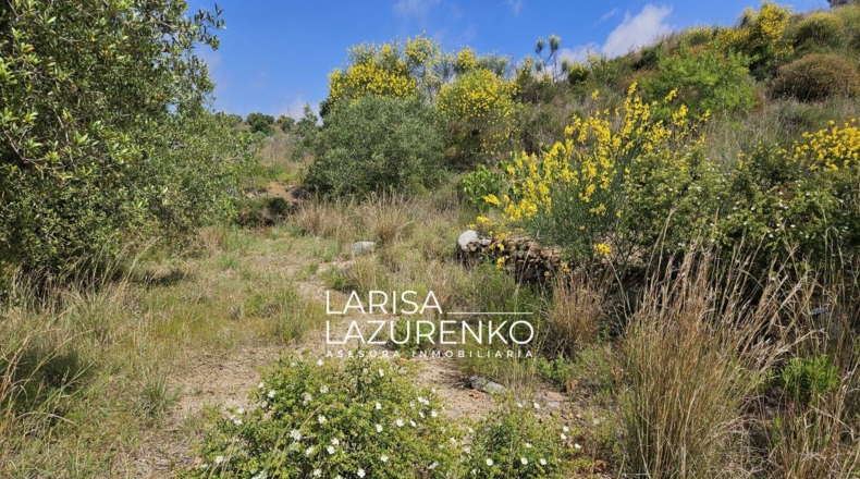 Tarragona - Móra la Nova - 24111m2