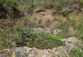 Terreno no urbanizable en venta en Móra la Nova ref: TR409185 foto
