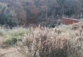 Sòl urbà en venda a Tordera ref.: TR410493 foto