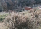 Sòl urbà en venda a Tordera ref.: TR410493 foto