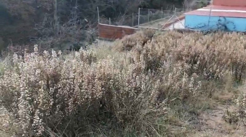 Барселона - Tordera - 452m2