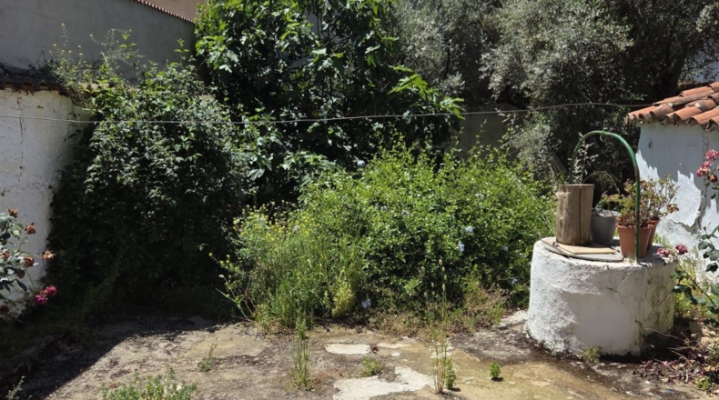 Badajoz - Azuaga - 305m2