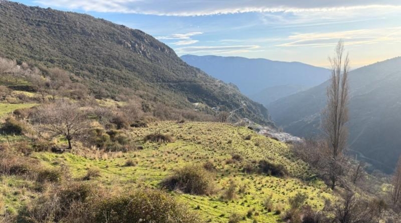 Granada - Bubión - 7000m2
