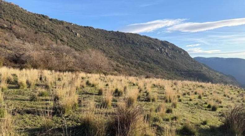 Granada - Bubión - 7000m2