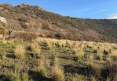 Terreno no urbanizable en venta en la España, Bubión, ref: TR384997 foto