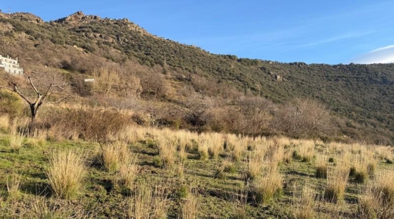 Granada - Bubión - 7000m2