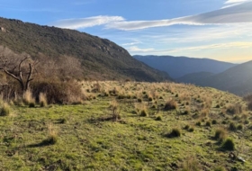 Bubión 7000&nbsp;m²