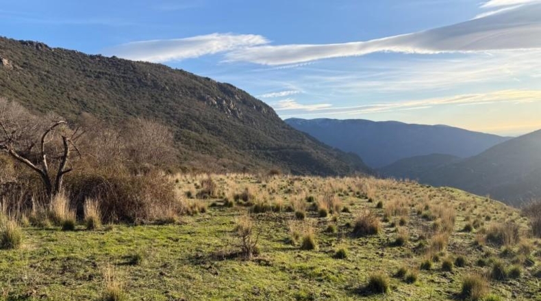 Granada - Bubión - 7000m2