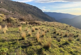 Bubión 7000&nbsp;m²