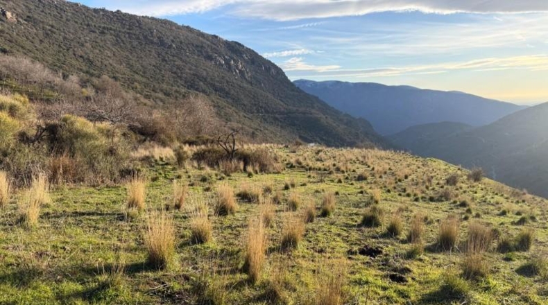Granada - Bubión - 7000m2