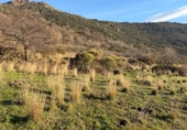 Terreno no urbanizable en venta en la España, Bubión, ref: TR384997 foto