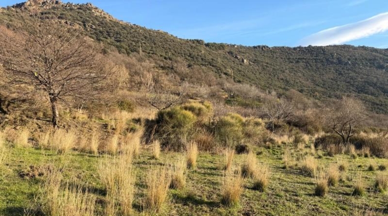Granada - Bubión - 7000m2