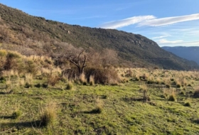 Bubión 7000&nbsp;m²