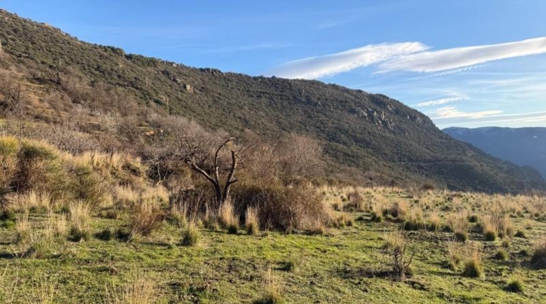 Granada - Bubión - 7000m2