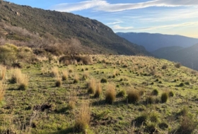 Bubión 7000&nbsp;m²