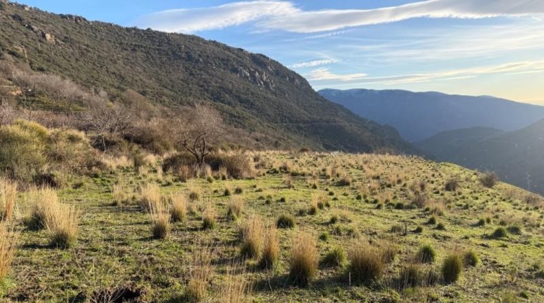 Granada - Bubión - 7000m2