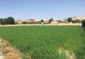 Terreny no urbanitzable en venda a la España, Molina de Segura, ref.: TR114515 foto