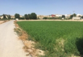Terreny no urbanitzable en venda a la España, Molina de Segura, ref.: TR114515 foto