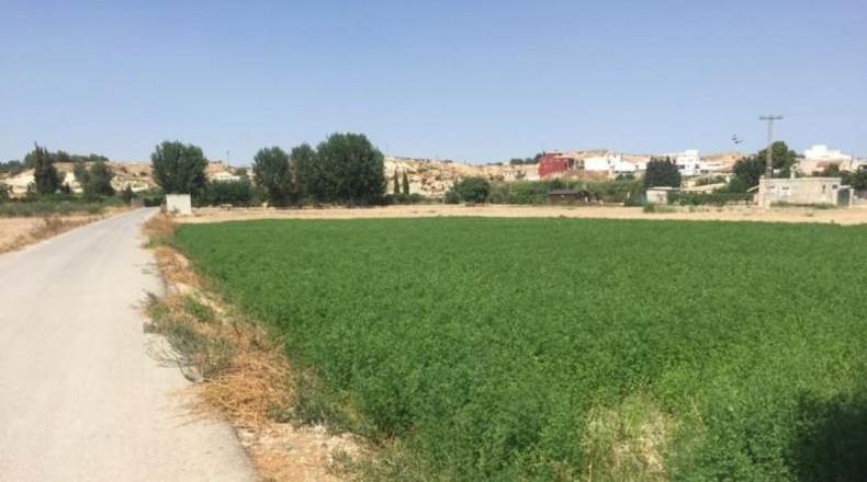 Múrcia - Molina de Segura - 1121m2
