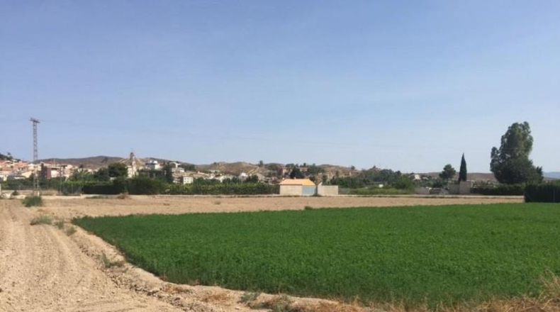 Múrcia - Molina de Segura - 1121m2