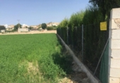Terreny no urbanitzable en venda a la España, Molina de Segura, ref.: TR114515 foto