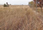Non-developable land for sale on España, Yepes, ref: TR376551 photo