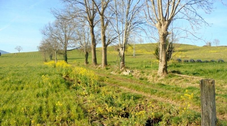 Cantàbria - Penagos - 10000m2