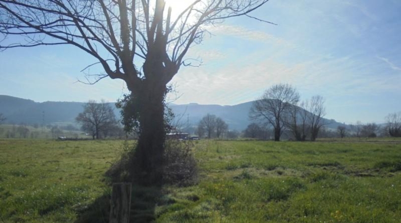 Cantàbria - Penagos - 10000m2