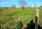 Non-developable land for sale on España, Penagos, ref: TR126490 photo