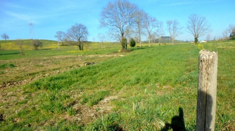 Cantàbria - Penagos - 10000m2