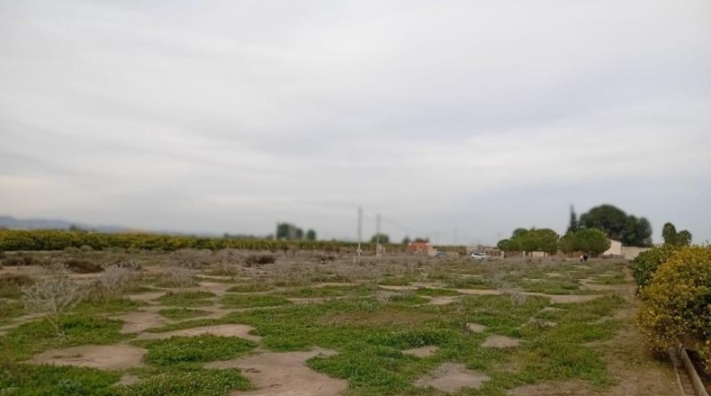 Murcia - Librilla - 3545m2