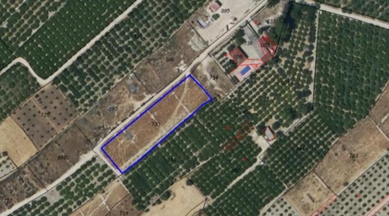 Murcia - Librilla - 3545m2