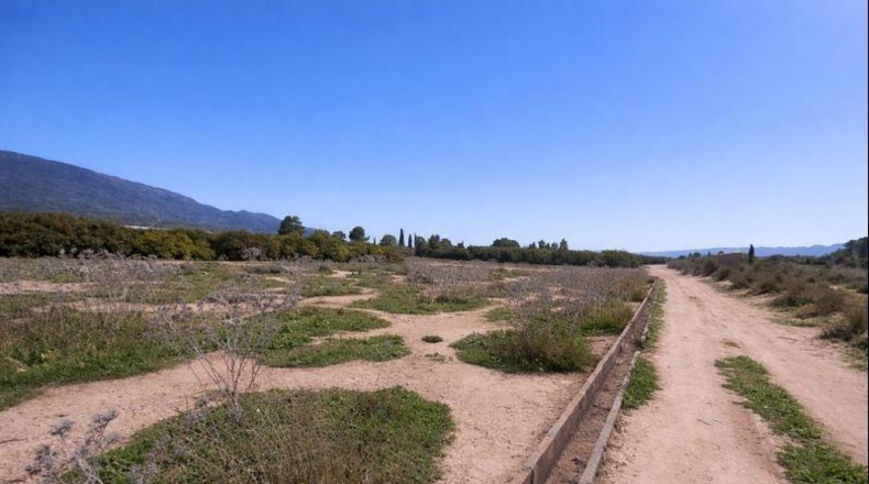 Murcia - Librilla - 3545m2