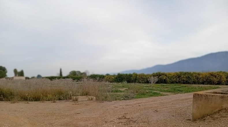 Murcia - Librilla - 3545m2
