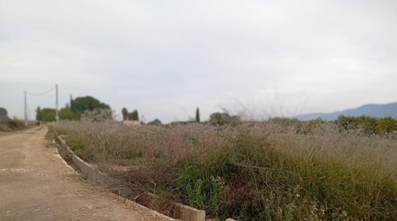 Murcia - Librilla - 3545m2