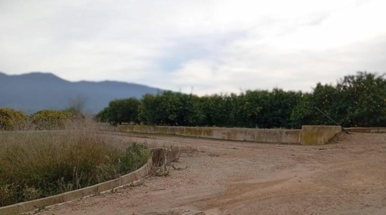 Murcia - Librilla - 3545m2
