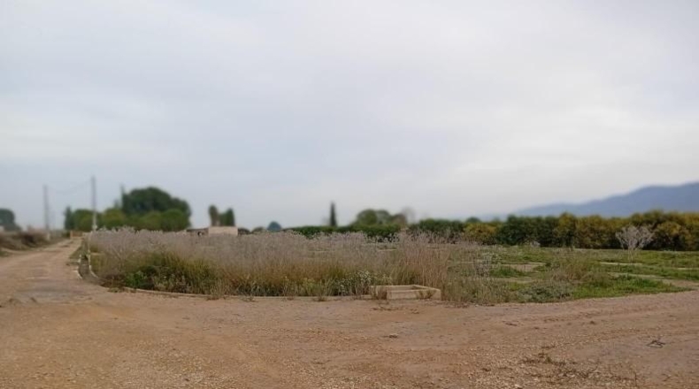 Murcia - Librilla - 3545m2