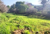 Land suitable for development for sale on España, Villanueva de Villaescusa, ref: TR350435 photo