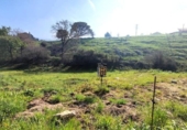 Land suitable for development for sale on España, Villanueva de Villaescusa, ref: TR350435 photo