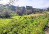 Land suitable for development for sale on España, Villanueva de Villaescusa, ref: TR350435 photo