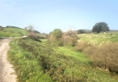 Land suitable for development for sale on España, Villanueva de Villaescusa, ref: TR350435 photo