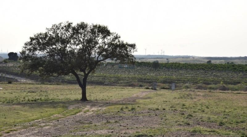 Huelva - Villablanca - 11000m2