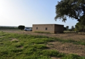 Detached villa with land for sale on España, Villablanca, ref: TR124348 photo