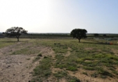 Detached villa with land for sale on España, Villablanca, ref: TR124348 photo