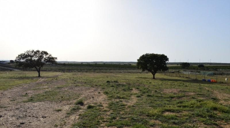 Huelva - Villablanca - 11000m2