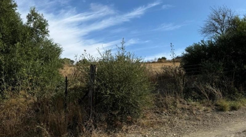 Cádiz - Arcos de la Frontera - 7000m2